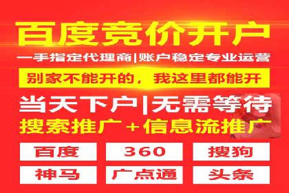 百度推广的成功案例：从零到一的突破